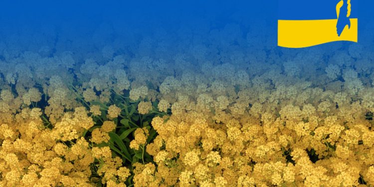 Tarptautinei Ukrainos mokyklai perduodamos patalpos