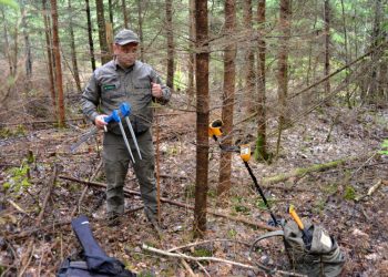 Valstybinė Miškų Tarnyba Rengia Viešą Diskusiją Apie Nacionalinę Miškų Inventorizaciją