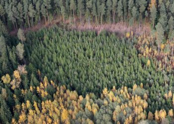 Valstybinė Miškų Tarnyba Informuoja Apie Galimą žemės Mokesčio Perskaičiavimą