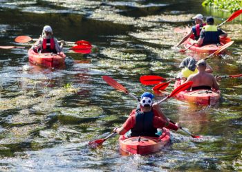 Neršia Lašišinės žuvys – Nerekomenduojame Plaukti Nusekusiomis Upėmis