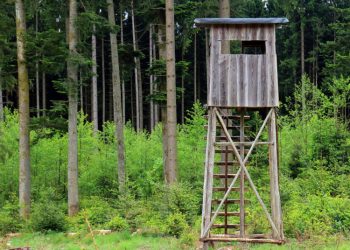 Šv. Huberto Dienos Proga Prisiminkime Istoriškai Susiformavusias Garbingos Medžioklės Tradicijas