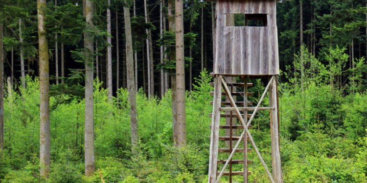 Šv. Huberto Dienos Proga Prisiminkime Istoriškai Susiformavusias Garbingos Medžioklės Tradicijas