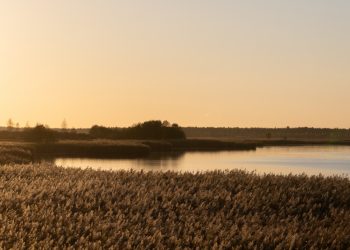 Žuvintas Kviečia Paminėti Tarptautinę Biosferos Rezervatų Dieną Ir 85 M. įkūrimo Sukaktį