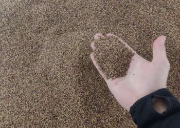 Po  Trijų Valandų Nuo Vagystės Užfiksavimo įtariamasis Jau Sėdėjo Tyrėjos Kabinete