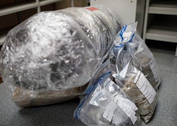 Atskleista Stambi Kontrabanda, Rastas Didelis Kiekis Kokaino