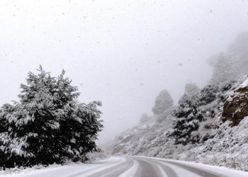 Vien Pakeisti Automobilio Padangų Nepakanka: Kaip Elgtis Rajonų Keliuose Sulaukus Pirmojo Plikledžio