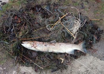 Vakar Ryte Anykščių Rajone Utenos Aplinkosaugininkams įkliuvo Tinklininkas