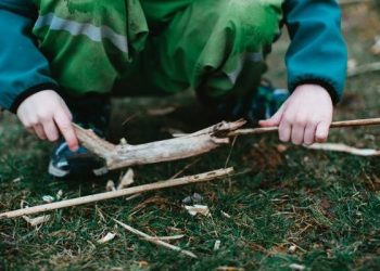 Brangymečio Grimasos: Policija Ir Miškininkai Gaudys Gyventojus, Norinčius Iš Miško Išnešti Ir Keletą Sausuolių