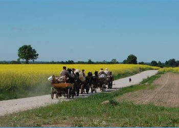 Už žemės Sklypus Mokėsime Daugiau