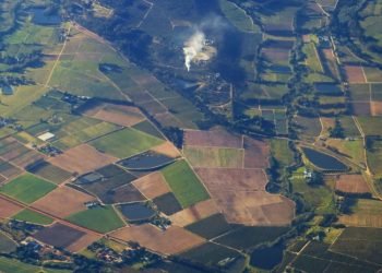 Siekiama Užtikrinti Valstybinės Augalininkystės Ir Žuvininkystės Tarnybų Veiklą Valstybinėje žemėje