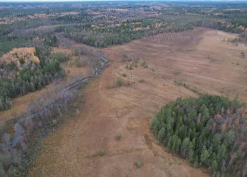 Misija – Išgelbėti Pelkę