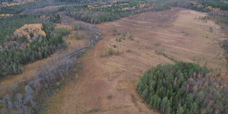 Misija – Išgelbėti Pelkę