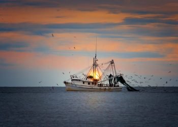 Žvejybos Ir Akvakultūros Sektoriaus Atstovai, Patyrę Nuostolių Dėl Rusijos Karinės Agresijos Prieš Ukrainą, Netrukus Galės Kreiptis Kompensacijų – Patvirtintos Naujos Taisyklės