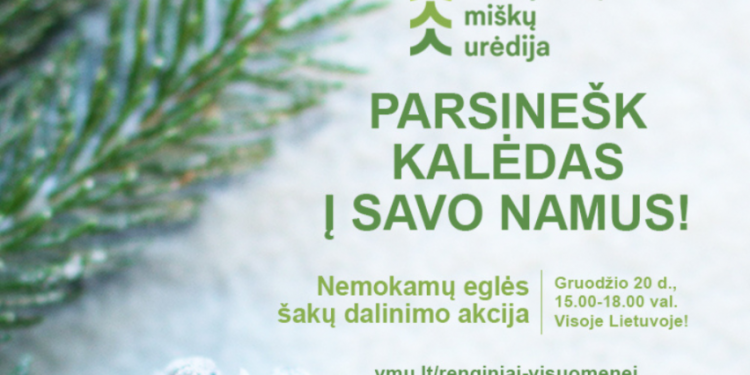 Miškininkai Kviečia Parsinešti Kalėdas į Savo Namus – Gruodžio 20 D. Visoje Lietuvoje Vyks Nemokamų Eglės šakų Dalinimo Akcija