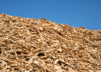 Informuojame, Kaip Bus įgyvendinami Biokuro Tvarumo Direktyvų Reikalavimai