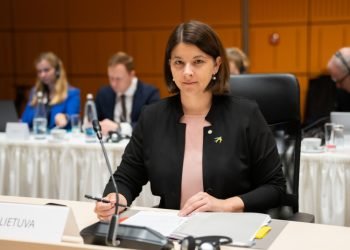 Finansų Ministrė G. Skaistė: „Siekiame Geresnio Paramos Priemonių Koordinavimo ES Lygiu“
