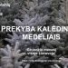 Valstybinių Miškų Urėdija Pradeda Kalėdinių Medelių Prekybą