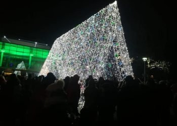 Fotofaktas. Mama, Kur Eglutė?