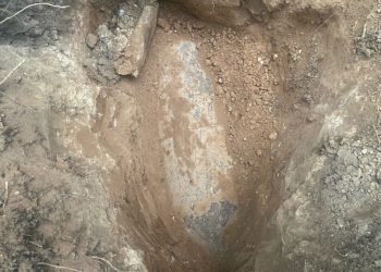 Vietoje Lobio – Mirtį Nešantis Radinys (Video)