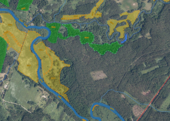 Šimonių Girią Saugosime Dar Labiau  – Miško Kirtimai Bus Ribojami Beveik 2 Tūkst. Ha