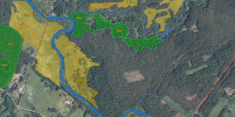 Šimonių Girią Saugosime Dar Labiau  – Miško Kirtimai Bus Ribojami Beveik 2 Tūkst. Ha
