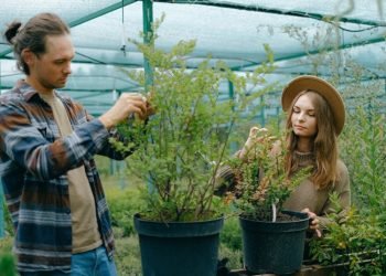 Siekiama Proveržio Pritraukiant Jaunimą į žemės ūkį