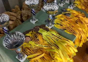 Anykščių Plaukikai Alytuje Laimėjo Net 23 Medalius (FOTO)