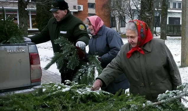 Miškininkai Vėl Nemokamai Dalins Eglių šakas Miškininkai Vėl Nemokamai Dalins Eglių šakas