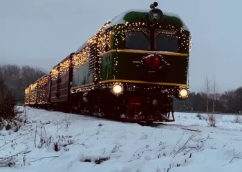 Du Trečdaliai šalies Gyventojų Dar Nėra Keliavę Siauruku