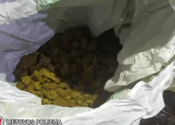 Dar Viena Sėkminga Sostinės Kriminalistų Operacija (Video)