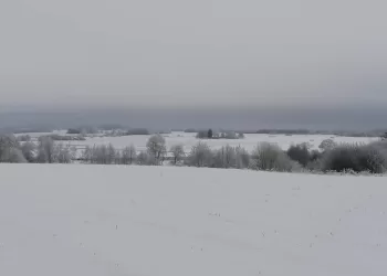 Visai Rimtai.Mokslo Pergalė