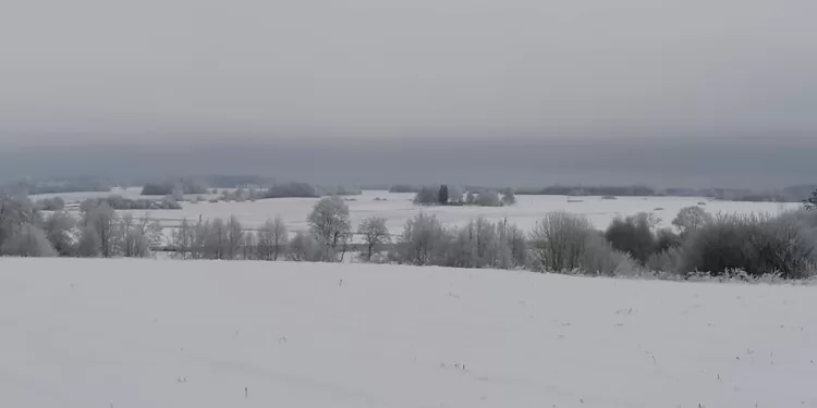 Visai Rimtai.Mokslo Pergalė Visai Rimtai.Mokslo Pergalė