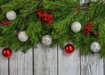 Tradicinė Akcija „Parsinešk Kalėdas į Savo Namus“