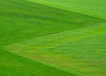 Sudarytos Geresnės Sąlygos žaliesiems Pirkimams