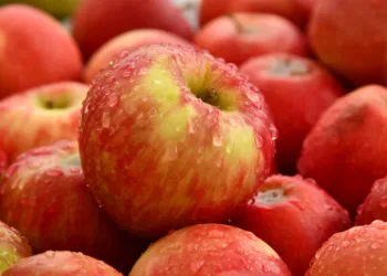 Obuolių Augintojams – 2 Mln.  Eurų Valstybės Parama