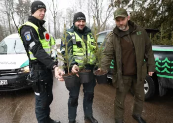 Miškininkai Kartu Su Policijos Pareigūnais Dovanos Kalėdinius Medelius – Skelbiama Prevencinė Akcija „Eglutė“