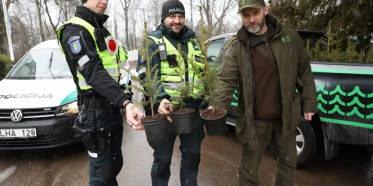 Miškininkai Kartu Su Policijos Pareigūnais Dovanos Kalėdinius Medelius – Skelbiama Prevencinė Akcija „Eglutė“ Miškininkai Kartu Su Policijos Pareigūnais Dovanos Kalėdinius Medelius – Skelbiama Prevencinė Akcija „Eglutė“