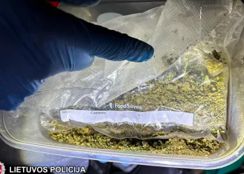 Vilniaus Kriminalistai Sudavė Dar Vieną Smūgį Kanapių Platintojams (Video)