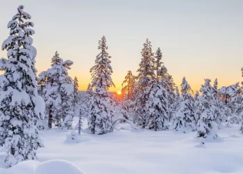 Netrukus Orai Smarkiai Keisis: Ar Per Kalėdas Bus Sniego?