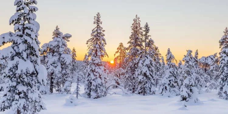 Netrukus Orai Smarkiai Keisis: Ar Per Kalėdas Bus Sniego?