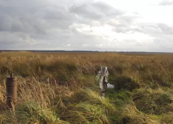 Siūloma, Kaip Palengvinti Ir Atpiginti Gręžinių įteisinimo Procedūras