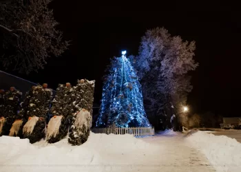 Svėdasuose Suspindo Kalėdų Eglutė