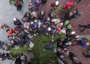 Miškininkai Kviečia Parsinešti Kalėdas į Savo Namus: Visoje Lietuvoje Vyks Nemokamų Eglės šakų Dalinimo Akcija