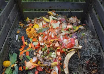 Rekomendacijas Buityje Susidarančioms Biologiškai Skaidžioms Atliekoms Kompostuoti Keičia Privalomi Reikalavimai