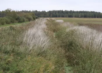 Reguliuojamas Drenažas Naudingas Ir žemdirbiams, Ir Aplinkai