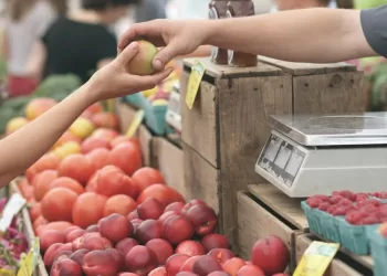 Trumpos Tiekimo Grandinės Suartina Gamintojus Ir Vartotojus