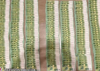 Statybos Bendrovės Direktorei Gresia Laisvės Atėmimas  (Video)