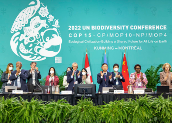 Pasaulis Pasiekė Istorinį Susitarimą Dėl Gamtos