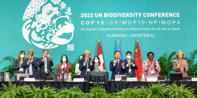 Pasaulis Pasiekė Istorinį Susitarimą Dėl Gamtos Pasaulis Pasiekė Istorinį Susitarimą Dėl Gamtos