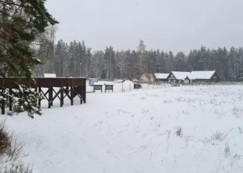 Dzūkijoje Turėsime Naują Stumbryną